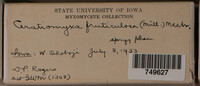 Image Associated With the Occurence